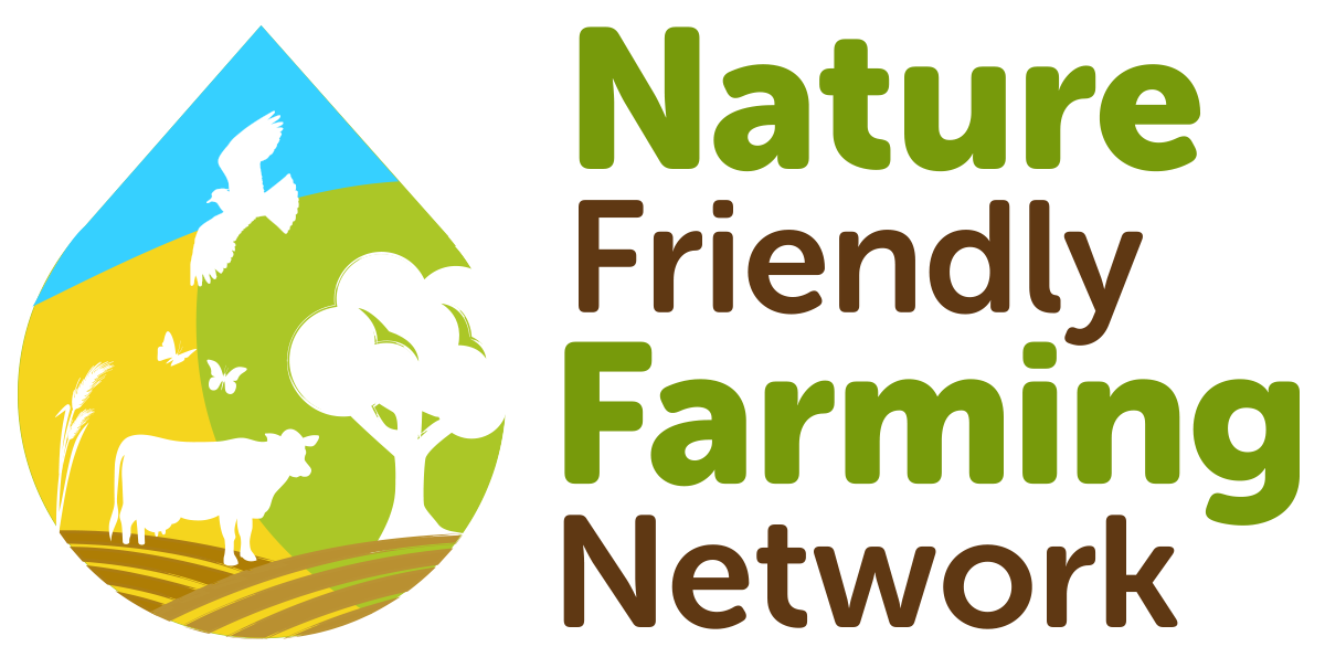 NFFN logo
